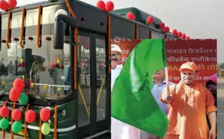 CM Yogi दिखाएंगे हरी झंडी - आज से नोएडा, ग्रेनो में दौड़ेंगी सिटी बसें; बॉटनिकल से 50 रुपये में एयरपोर्ट तक का सफर
