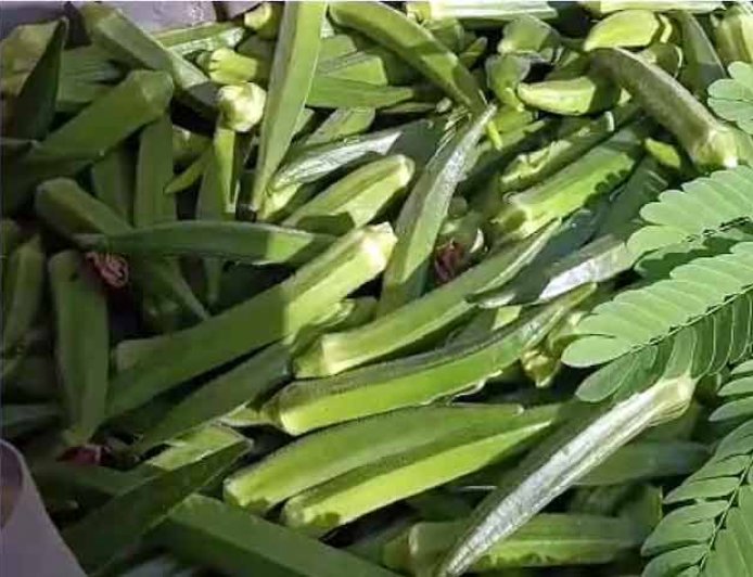 रेट सुन उड़ गए भारतीय के होश: भारत में 50 रुपये किलो वाली भिंडी, अमेरिका में 7250 रुपयों में बिक रही