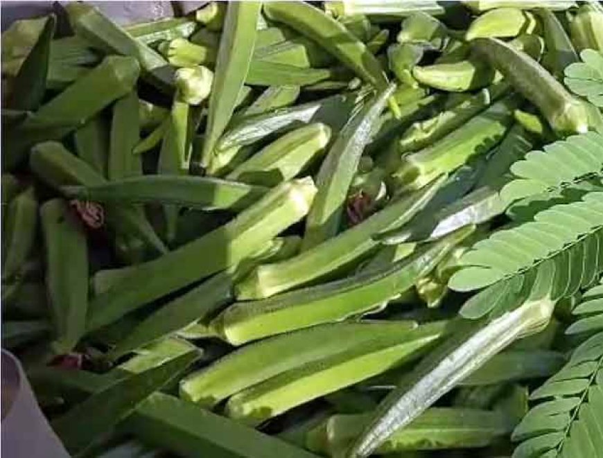 रेट सुन उड़ गए भारतीय के होश: भारत में 50 रुपये किलो वाली भिंडी, अमेरिका में 7250 रुपयों में बिक रही