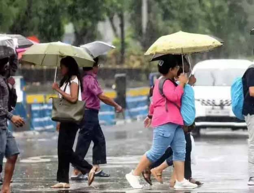 UP में मानसून की आहट! इन 14 जिलों में कल झमाझम बारिश का अलर्ट, नोएडा-बुंदेलखंड में लू का कहर