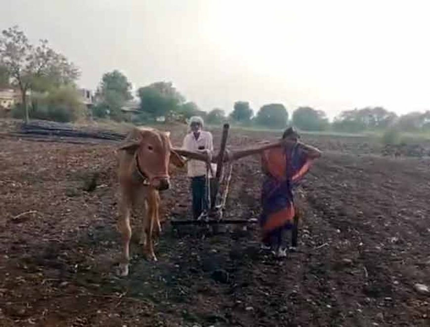 पत्नी को बैल की जगह बांधकर खेती कर रहा था किसान, Video वायरल हुआ तो मुख्यमंत्री ने उठाया बड़ा कदम
