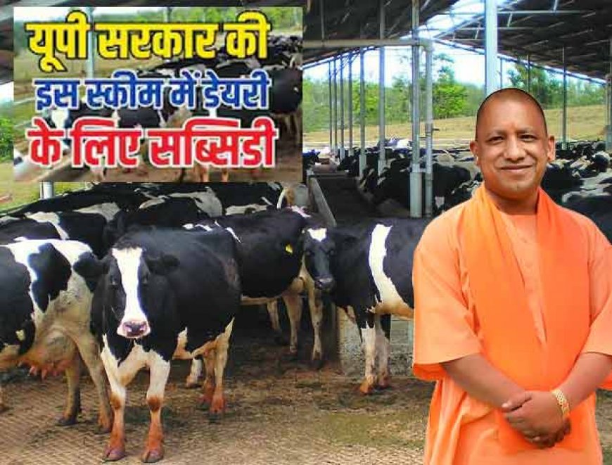 डेयरी फार्म खोलने का है प्लान, तो योगी सरकार करेगी आपकी मदद! जानिए पूरी स्कीम और सब्सिडी बेनिफिट्स