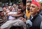 'जो हौसलों को कर ले कैद... 'राहुल गांधी संग पीएम हाउस पर प्रदर्शन की 3 दिलचस्प तस्वीरें शेयर कर बोले अखिलेश यादव