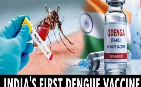 Dengue Vaccine: भारत को मिली पहली डेंगू वैक्सीन! जानिए कितनी असरदार है QDENGA और कब से लगेगी?
