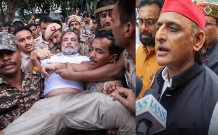 'जो हौसलों को कर ले कैद... 'राहुल गांधी संग पीएम हाउस पर प्रदर्शन की 3 दिलचस्प तस्वीरें शेयर कर बोले अखिलेश यादव