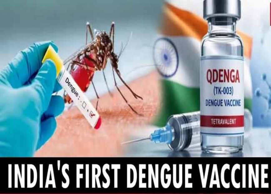 Dengue Vaccine: भारत को मिली पहली डेंगू वैक्सीन! जानिए कितनी असरदार है QDENGA और कब से लगेगी?