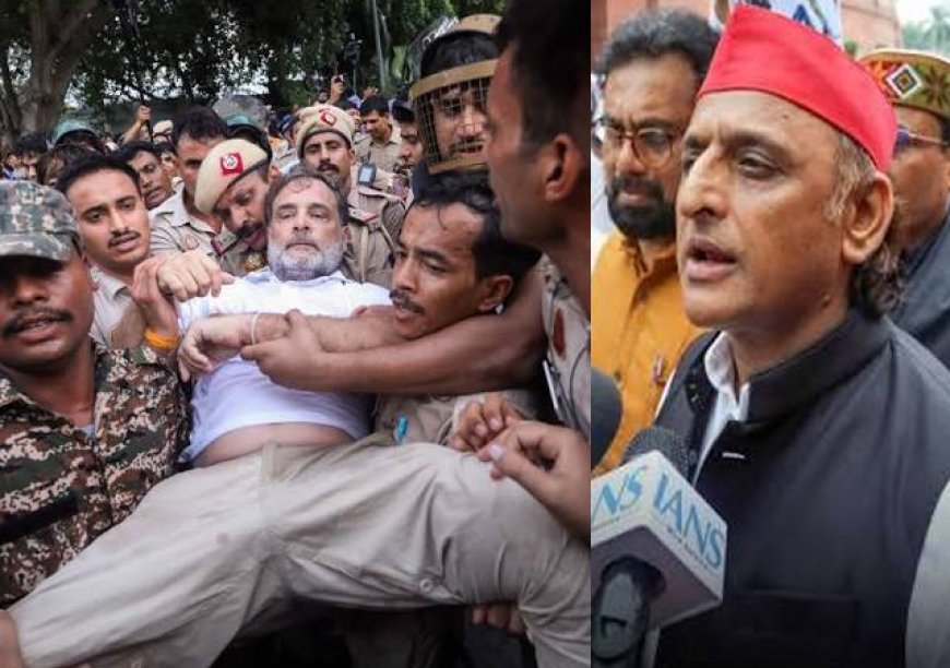 'जो हौसलों को कर ले कैद... 'राहुल गांधी संग पीएम हाउस पर प्रदर्शन की 3 दिलचस्प तस्वीरें शेयर कर बोले अखिलेश यादव