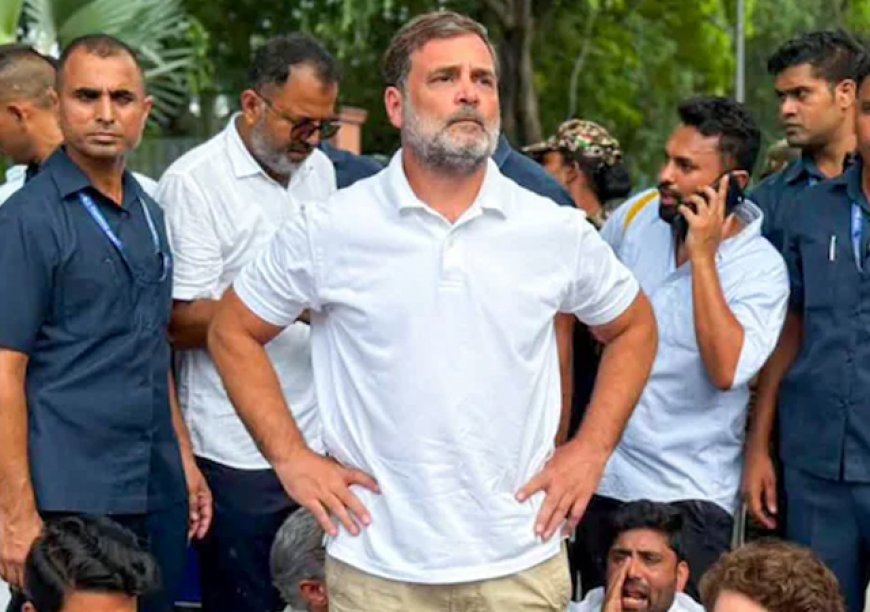 राहुल गांधी की बढ़ सकती हैं मुश्‍क‍िलें, लखनऊ HC ने कहा- संपत्ति की जांच में गड़बड़ी म‍िले तो ED कार्रवाई के ल‍िए स्वतंत्र