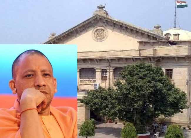योगी सरकार को हाईकोर्ट का आदेश- छुट्टा पशुओं और कुत्तों से खतरे वाले स्थान बताएं, दो सप्ताह का वक्त