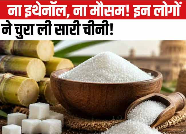 चीनी की कीमतें बढ़ने के पीछे असली विलेन कौन? सरकार का दावा- इथेनॉल निर्दोष
