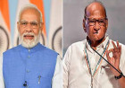 NCP शरद पवार गुट और BJP की बढ़ती नजदीकियां? चार घटनाओं से गरमाई महाराष्ट्र की सियासत