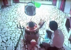 उन्नाव: 6 बार बोला भगवान मुझे माफ कर दो... फिर चुरा लिया बाबा भोलेनाथ का नाग