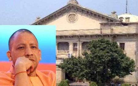 योगी सरकार को हाईकोर्ट का आदेश- छुट्टा पशुओं और कुत्तों से खतरे वाले स्थान बताएं, दो सप्ताह का वक्त