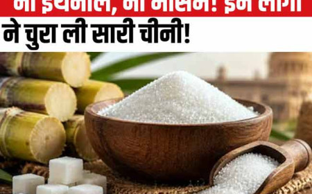 चीनी की कीमतें बढ़ने के पीछे असली विलेन कौन? सरकार का दावा- इथेनॉल निर्दोष