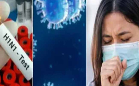 उत्तर प्रदेश में बढ़ी स्वाइन फ्लू मरीजों की संख्या, लखनऊ में तीन नए मरीज मिलने से स्वास्थ्य विभाग अलर्ट पर