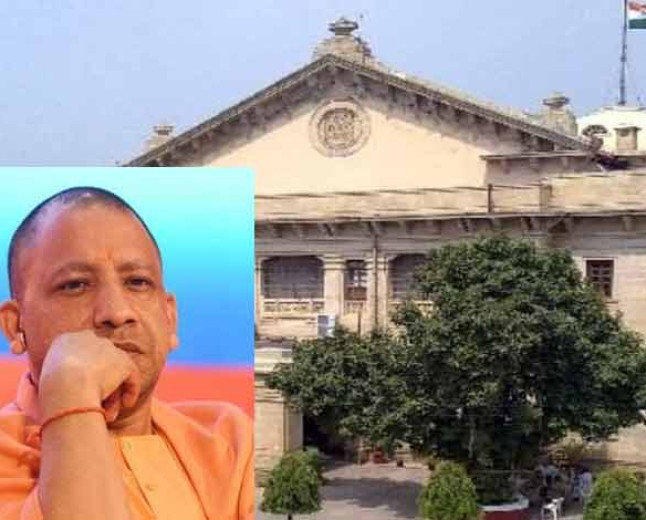 योगी सरकार को हाईकोर्ट का आदेश- छुट्टा पशुओं और कुत्तों से खतरे वाले स्थान बताएं, दो सप्ताह का वक्त